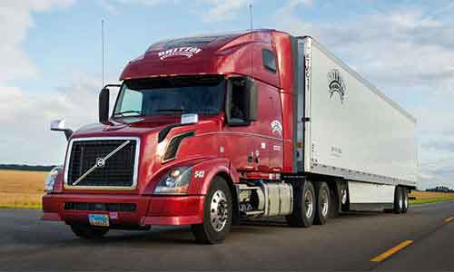 blackhorse-egypt Road Freight